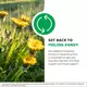 NutraMedix Dandelion / Кульбаба спиртовий екстракт листя 60 мл, фото 6 від магазину біодобавок nutrido.shop