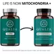Neurohacker Qualia Life / Энергия клеток для здорового долголетия 120 капсул, фото 8 в магазине биодобавок nutrido.shop
