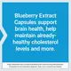 Life Extension Blueberry Extract / Экстракт черники антиоксидант 60 капсул, фото 6 в магазине биодобавок nutrido.shop