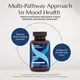 NEUROBIOLOGIX MOOD PLUS (FORMERLY BLISSFUL MOOD) / РОЗШИРЕНА ПІДТРИМКА НАСТРОЮ ТА СТРЕСУ 60 КАПСУЛ, фото 9 від магазину біодобавок nutrido.shop