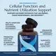 Neurobiologix Glutathione Ultra (formerly Detox and Antioxidant support) / Глутатіон для клітинної детоксикації 60 капсул, фото 9 від магазину біодобавок nutrido.shop