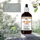 Hawaii Pharm Jin Qian Cao Alcohol-FREE / Цзінь Цянь Цао без спирту 120 мл, фото 4 в магазине биодобавок nutrido.shop