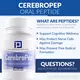 INTEGRATIVE PEPTIDES CEREBROPEP / ПЕПТИДИ ЦЕБРО ПЕП ДЛЯ КОГНІТИВНОГО ЗДОРОВ'Я 30 КАПСУЛ, фото 8 від магазину біодобавок nutrido.shop