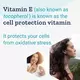 LIFE EXTENSION GAMMA E MIXED / ПОВНИЙ СПЕКТР ВІТАМІНУ Е ДЛЯ АНТИОКСИДАНТНОГО ЗАХИСТУ 60 КАПСУЛ, фото 8 від магазину біодобавок nutrido.shop