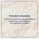 Trace Minerals NAC N-Acetyl L-Cysteine / НАК N-ацетил-L-цистеин вкус арбуза 75 г, фото 13 в магазине биодобавок nutrido.shop
