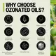 PURO3 OZONATED OLIVE OIL CAPSULES / ОЗОНОВАНА ОЛИВКОВА ОЛІЯ 500 МГ 90 КАПСУЛ, фото 8 від магазину біодобавок nutrido.shop